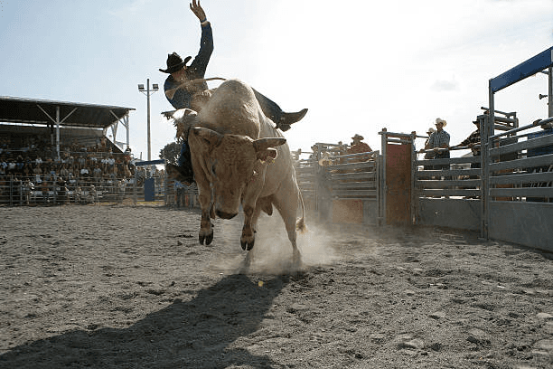 Rodeos